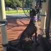 Monkey photo 5