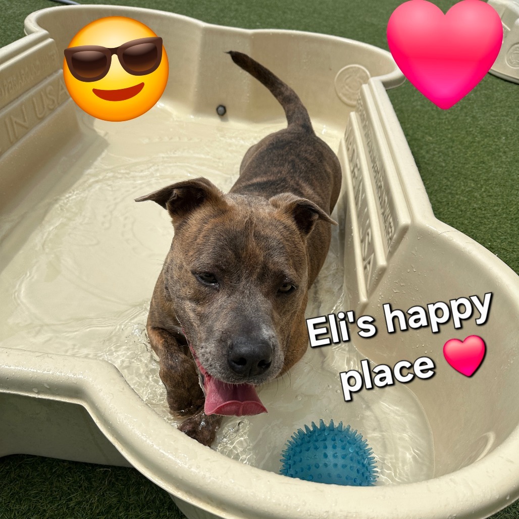 Ely #2