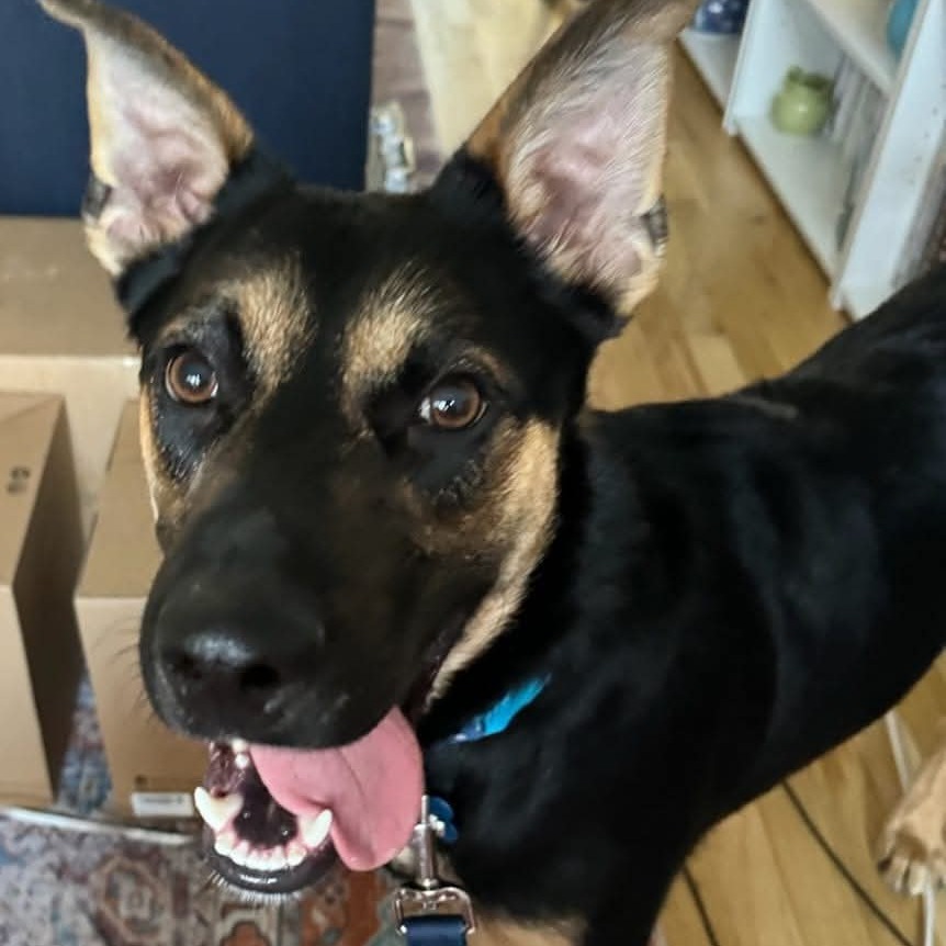 Max