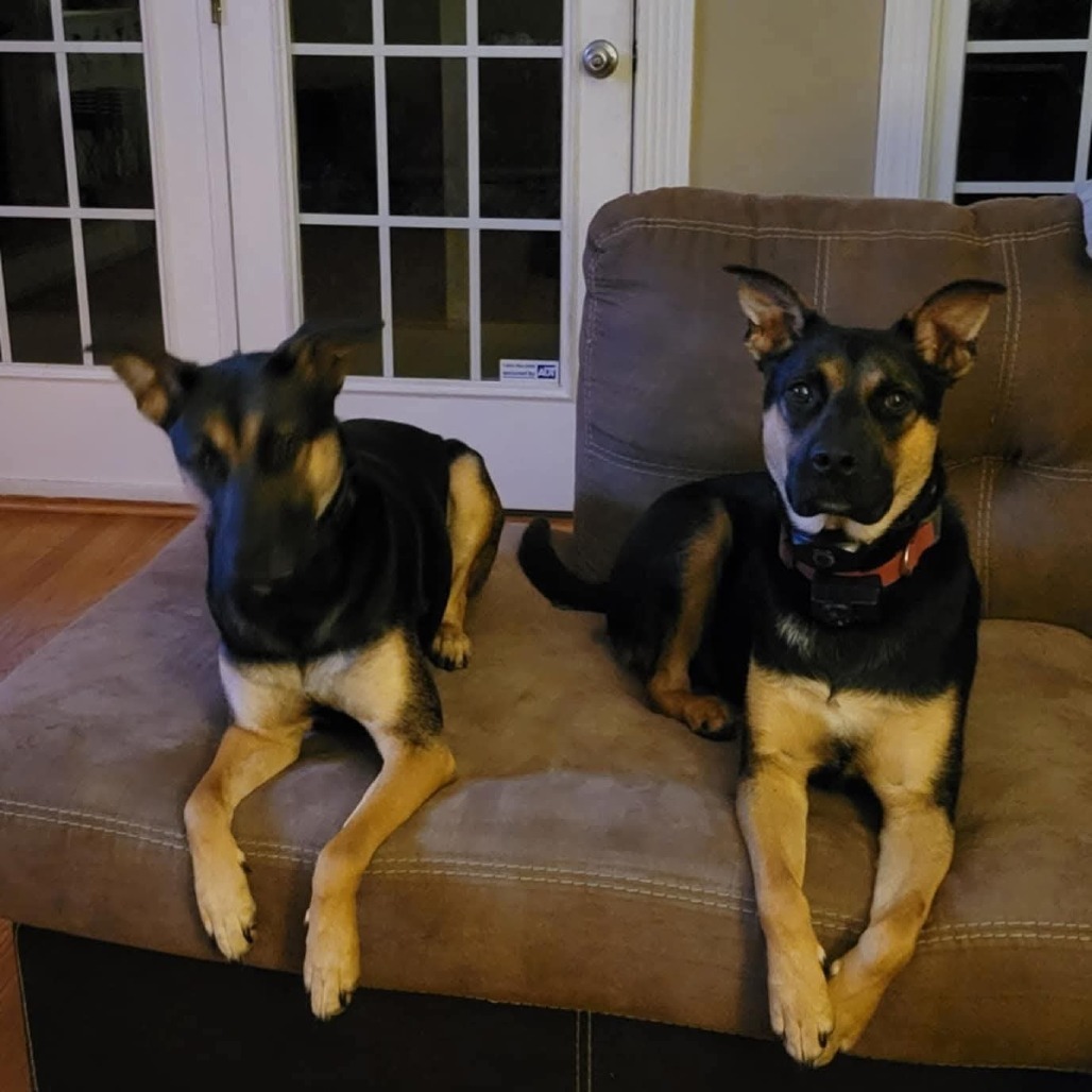 Max