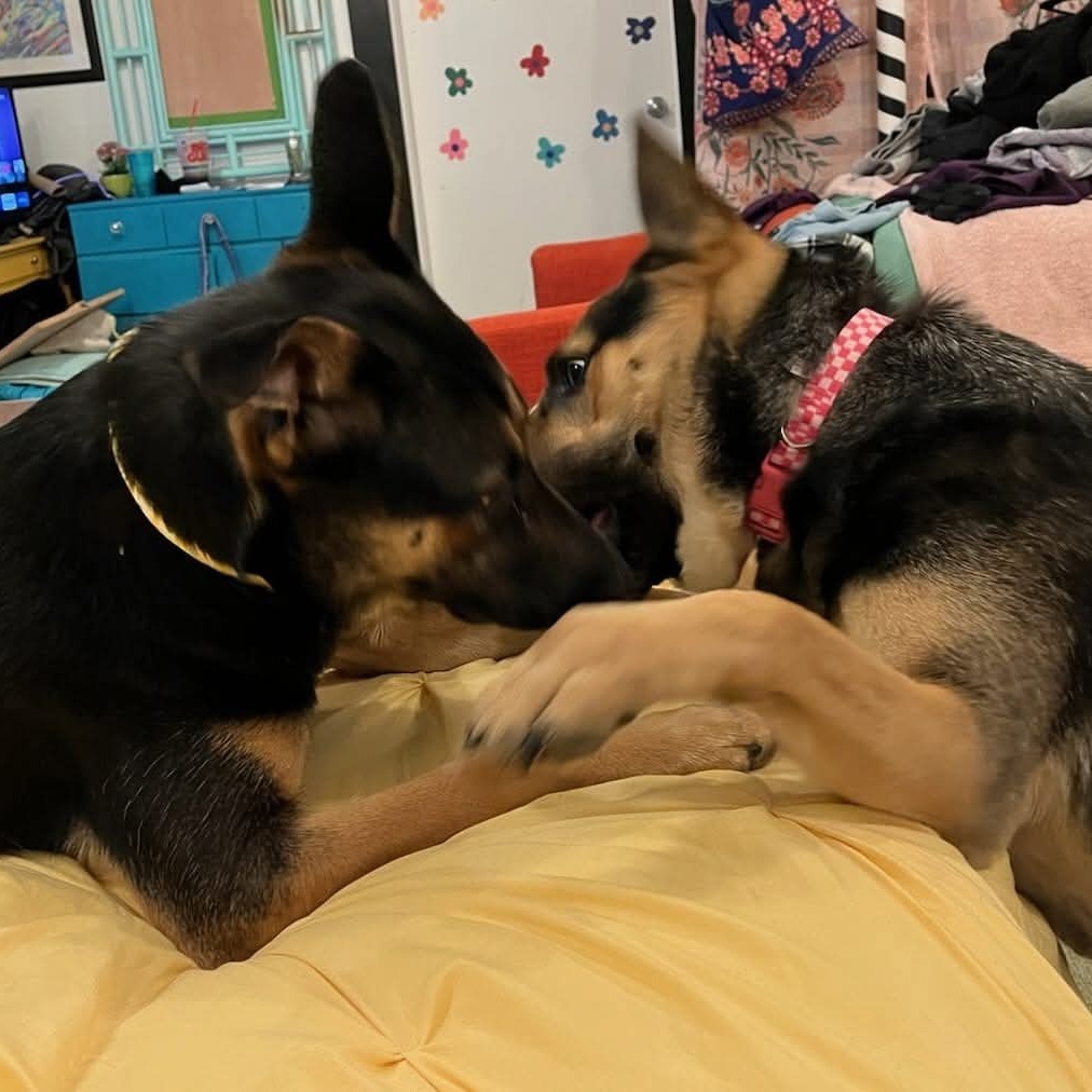 Max
