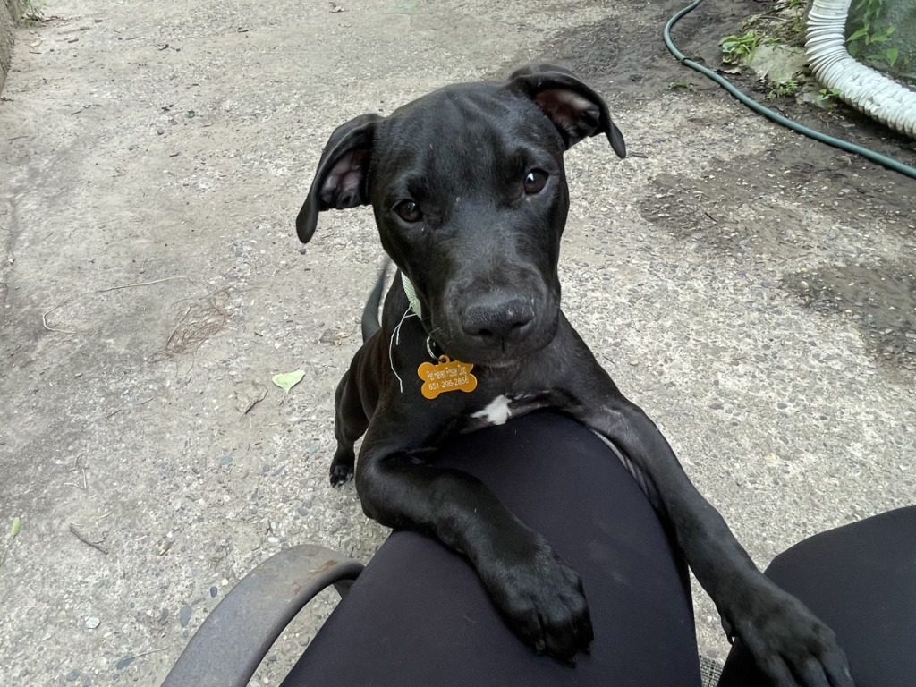 Delilah