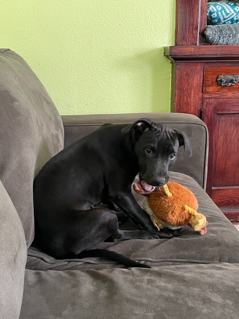 Delilah