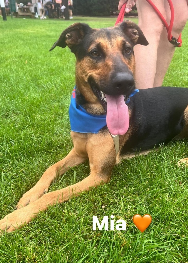 Mia