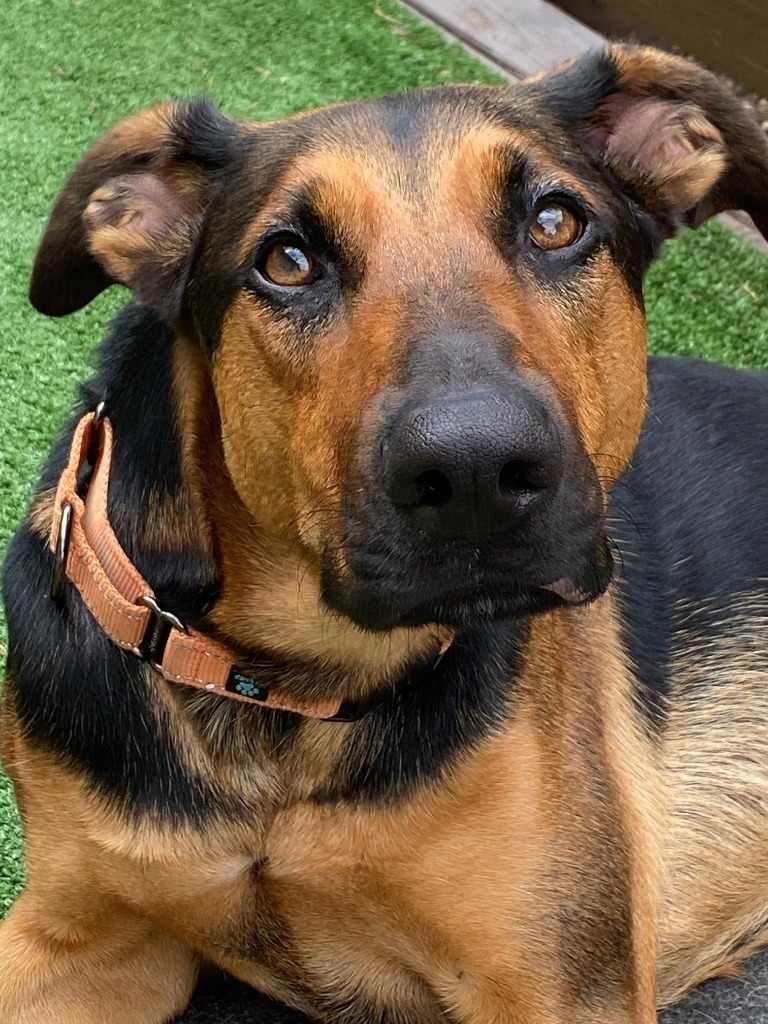 Mia