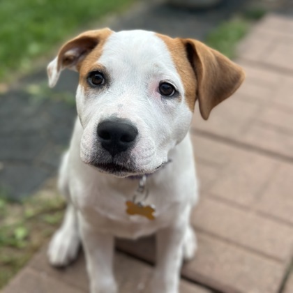 Fiona