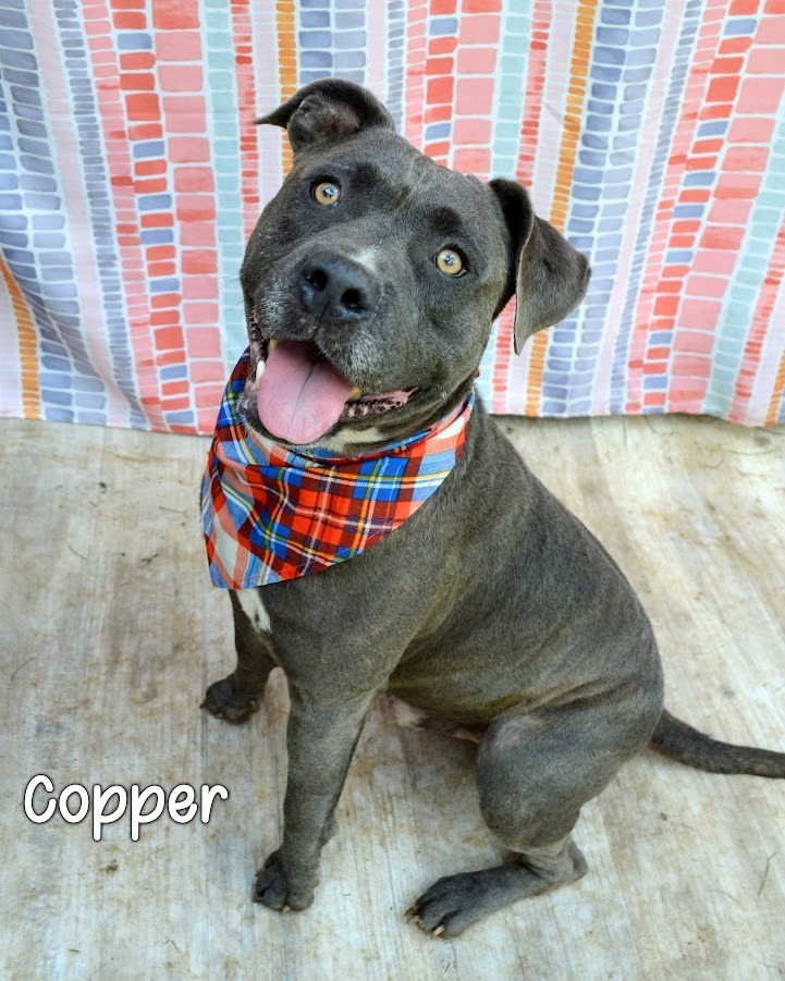 Copper