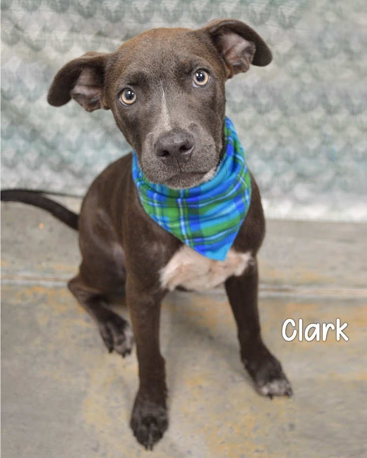 Clark