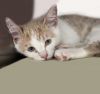 DeeDee* photo 3