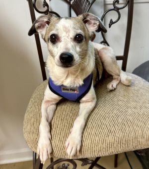 Linky West, Senior Female unknown