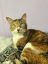 Wilma photo 3