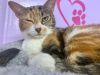 Wilma photo 4