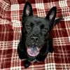 Margo photo 1