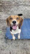 Ernie photo 1