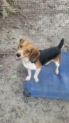 Ernie photo 3
