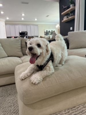 Russell, Senior Male unknown
