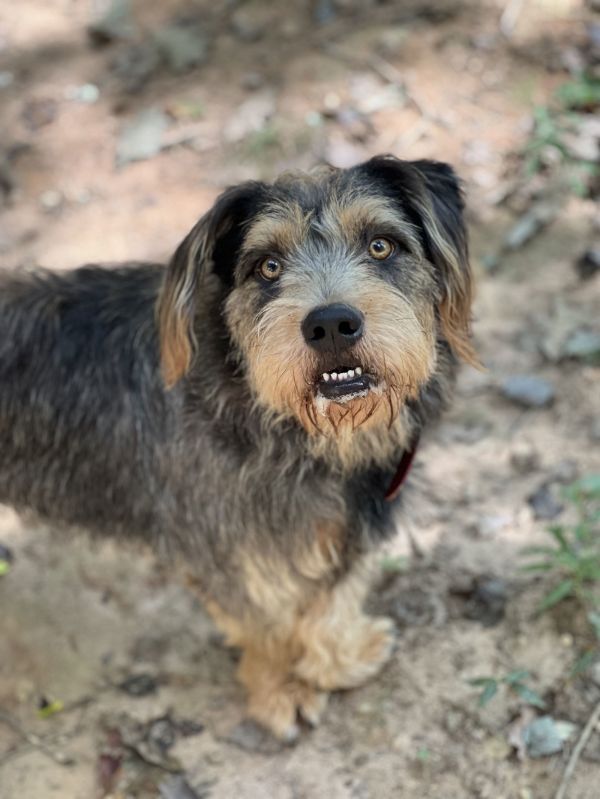 Cooper