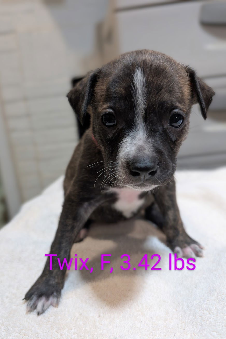 Twix