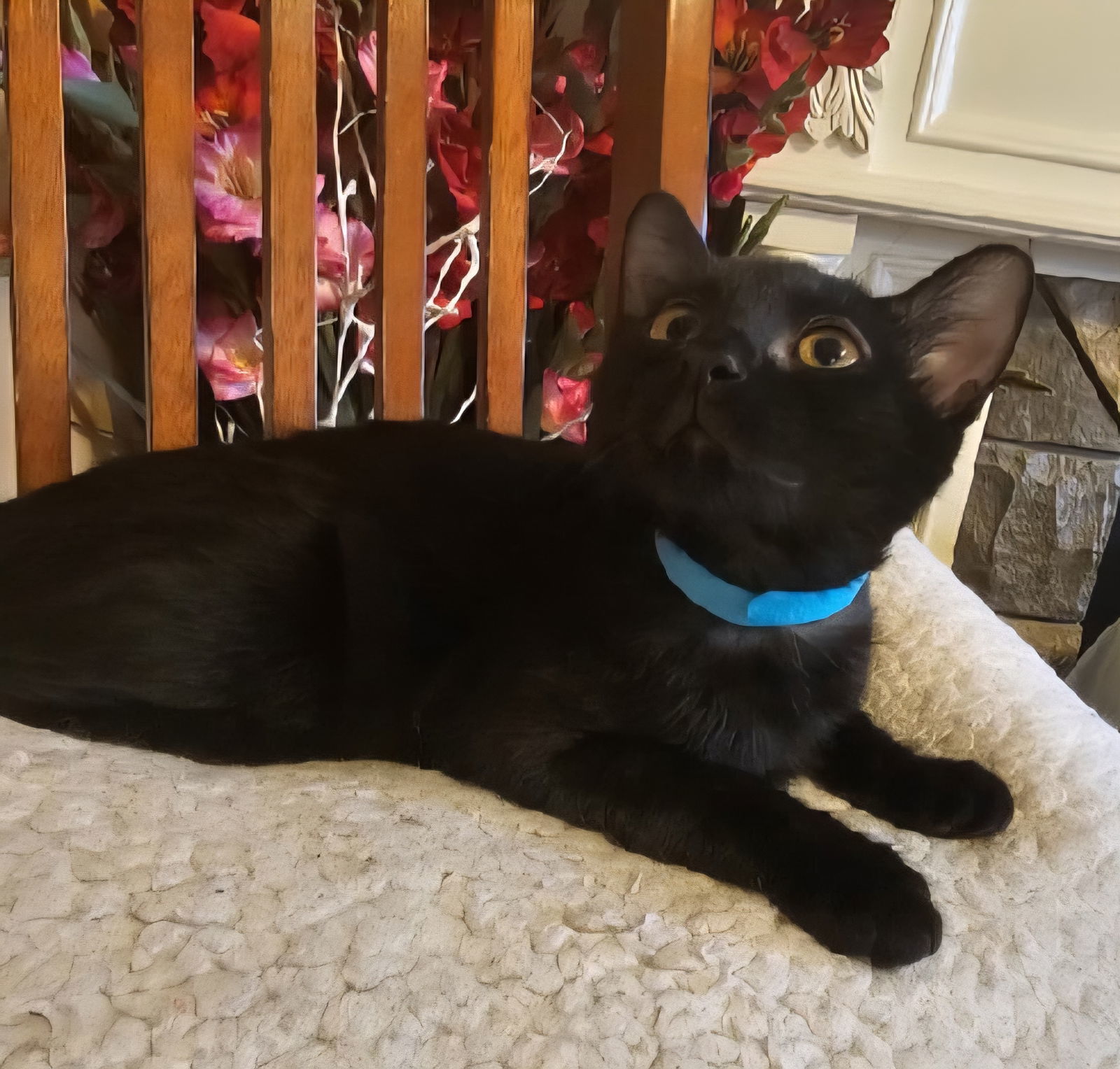 Binx A