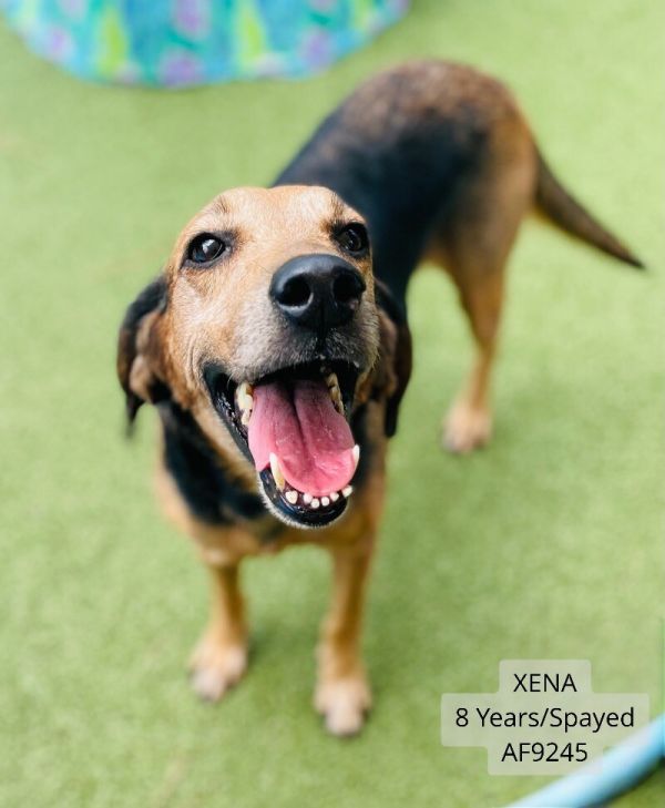 Xena
