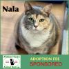 Nala photo 1