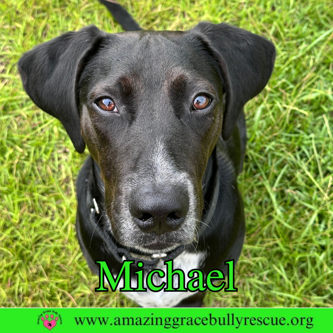 Michael