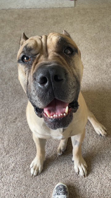 George