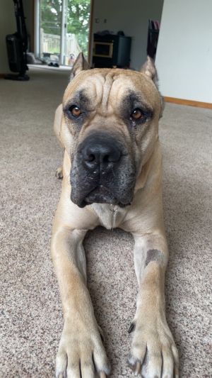 George photo