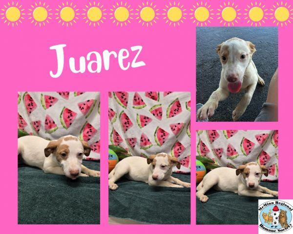 Juarez