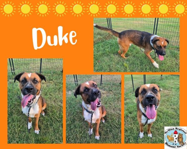 Duke
