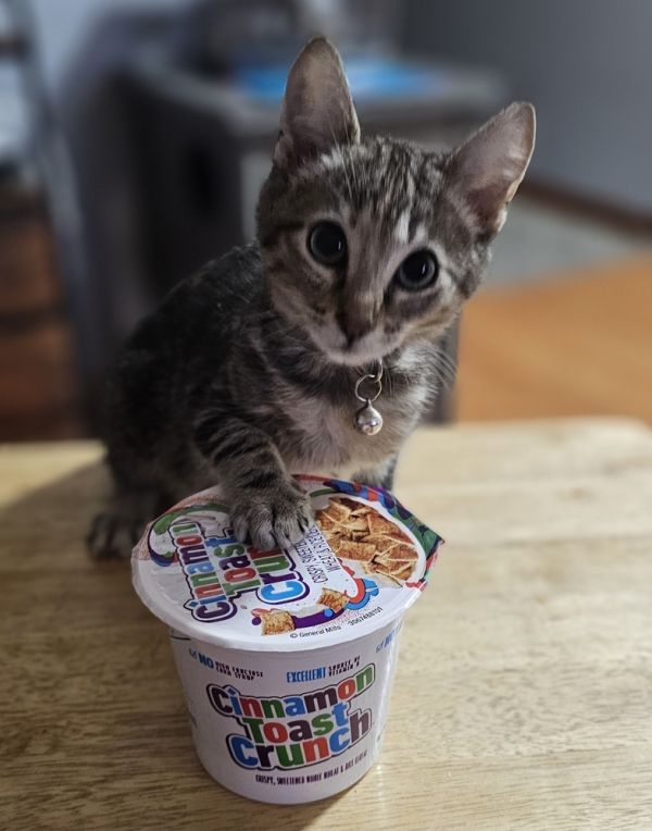 Cinnamon Toast Crunch thumbnail 2