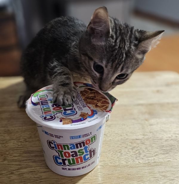 Cinnamon Toast Crunch thumbnail 4