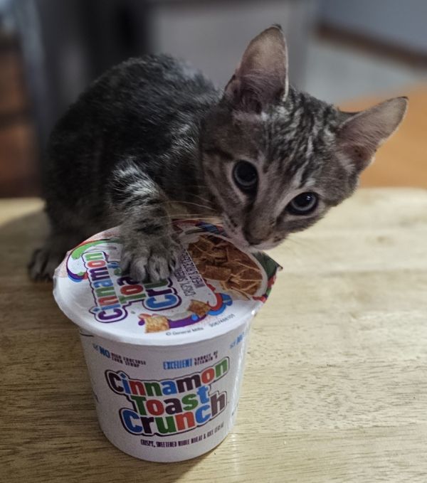 Cinnamon Toast Crunch thumbnail 5