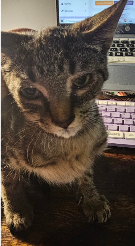 Micah