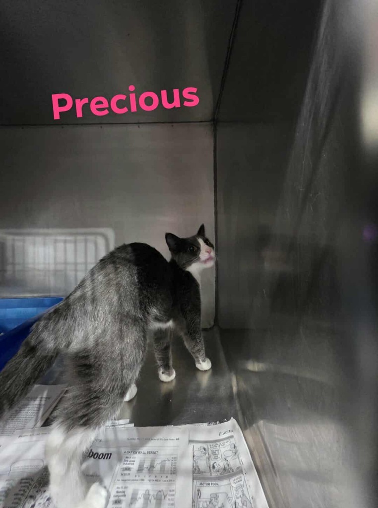 Precious