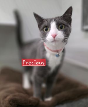 Precious