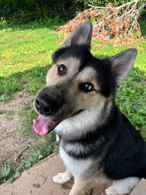 Ragnar