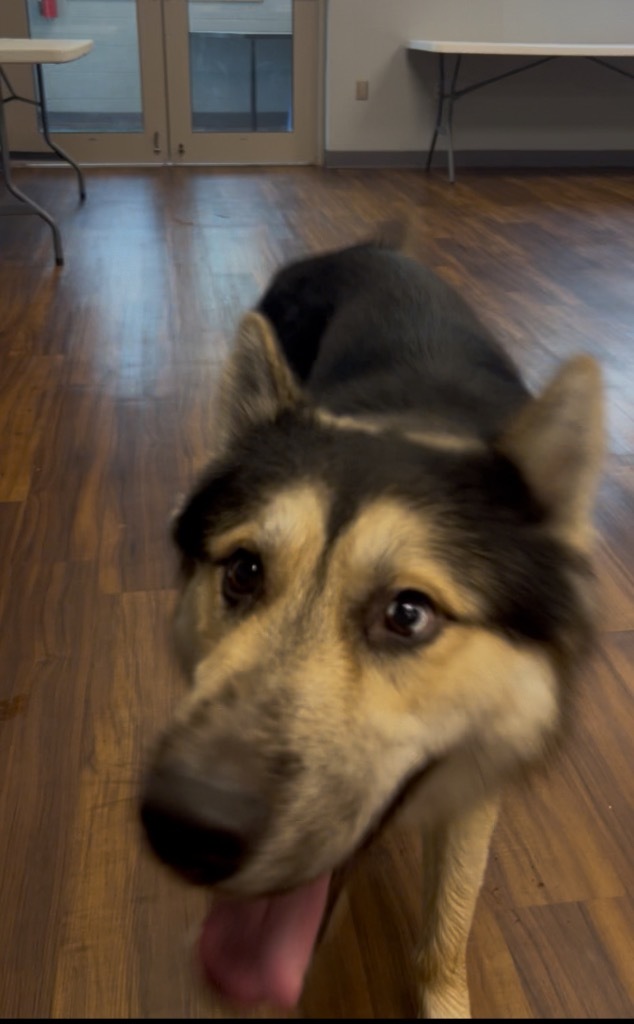 Ragnar