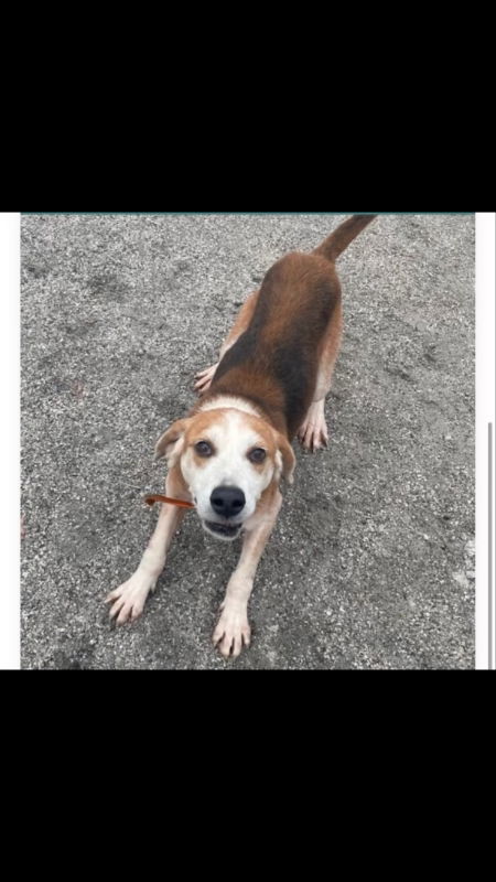 Gomer *Cross post*