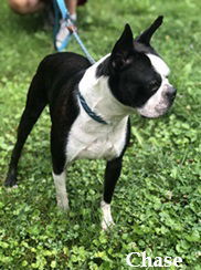 Chase: Accepting Applications Available Aug.2
