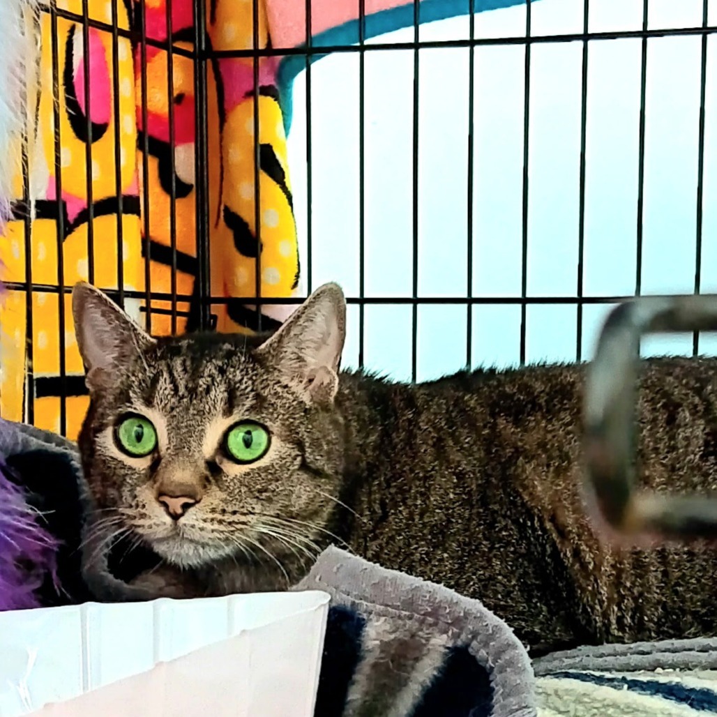 Kiki