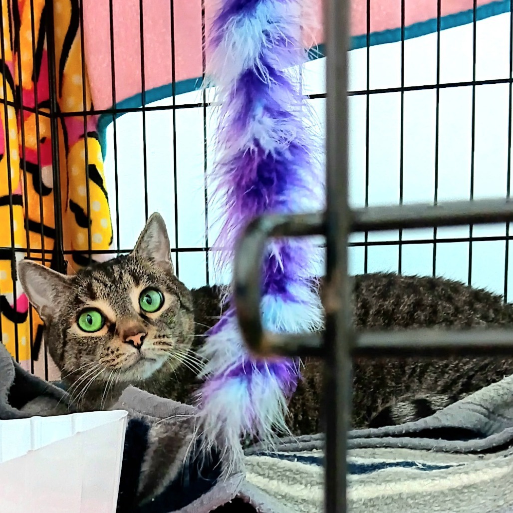 Kiki