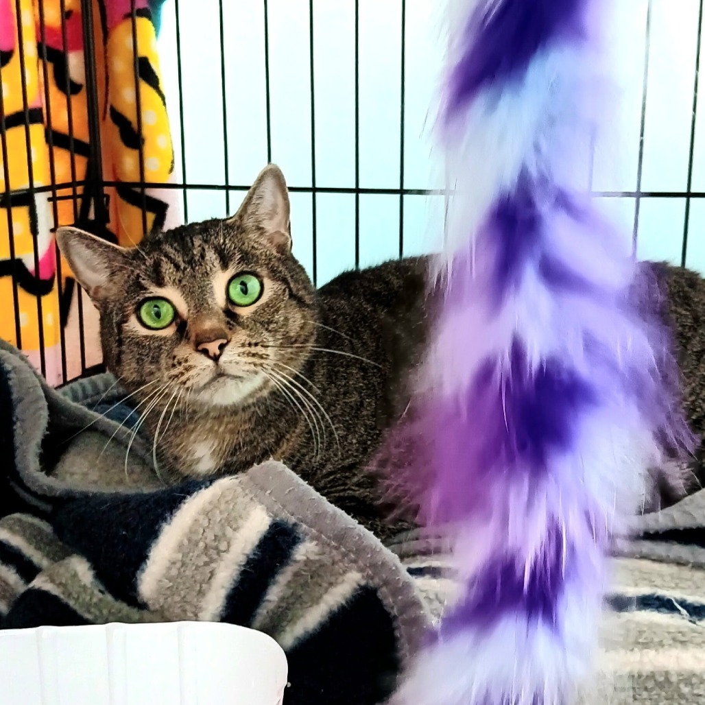 Kiki