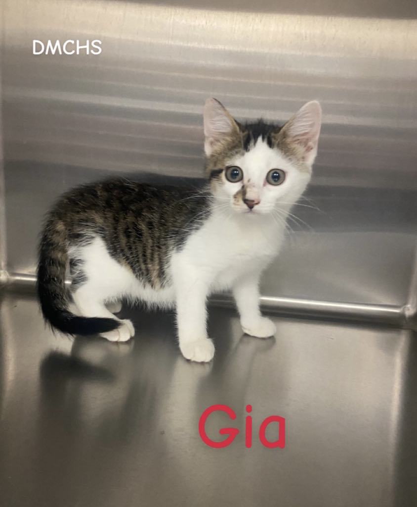 Gia
