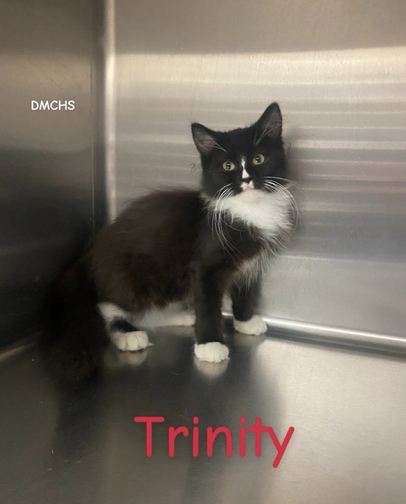 Trinity