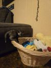 June photo 2