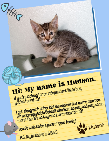 Hudson