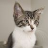 Cassian photo 3