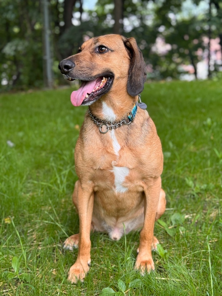 Buster Brown