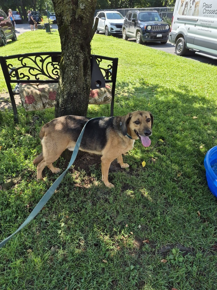Buster Brown